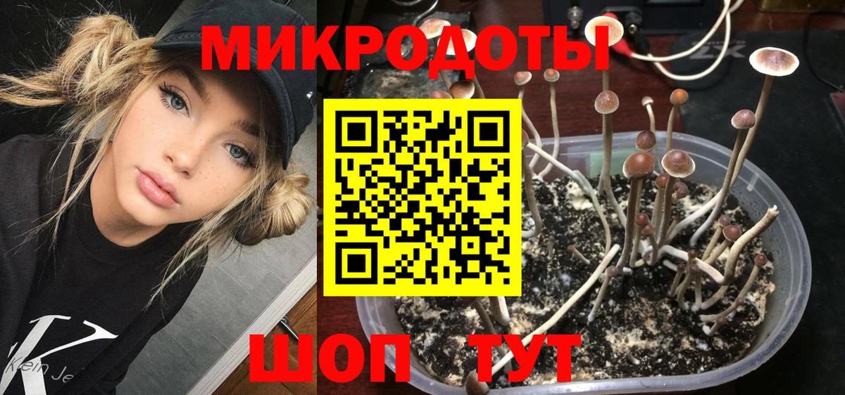 Галлюциногенные грибы ЛСД Знаменск