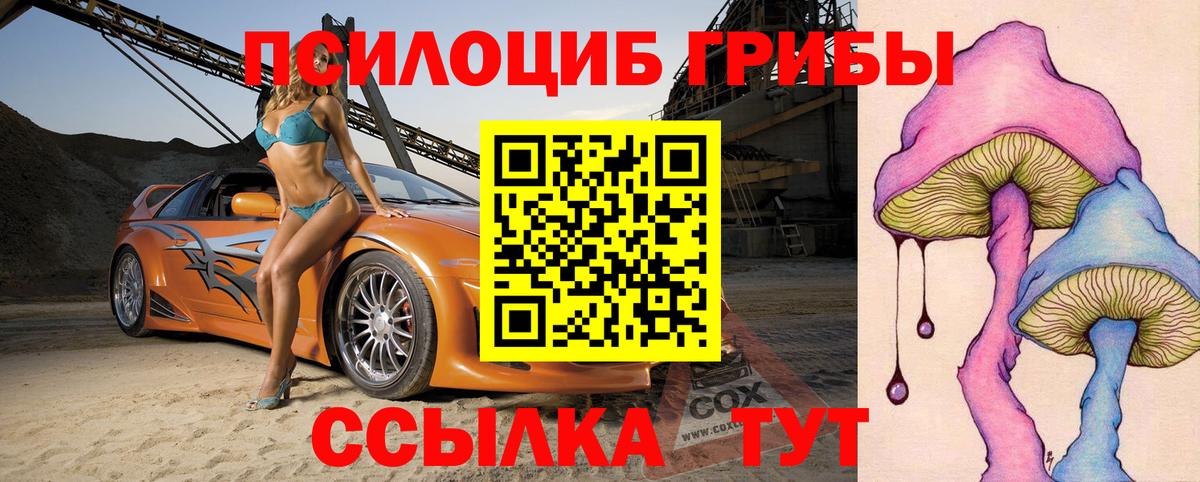 Знаменск  Псилоцибиновые грибы Psilocybine cubensis  закладка  Вход с VPN 