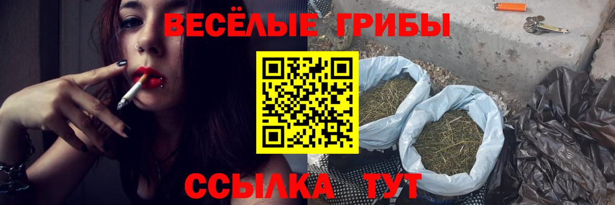 ГАШИШ Знаменск